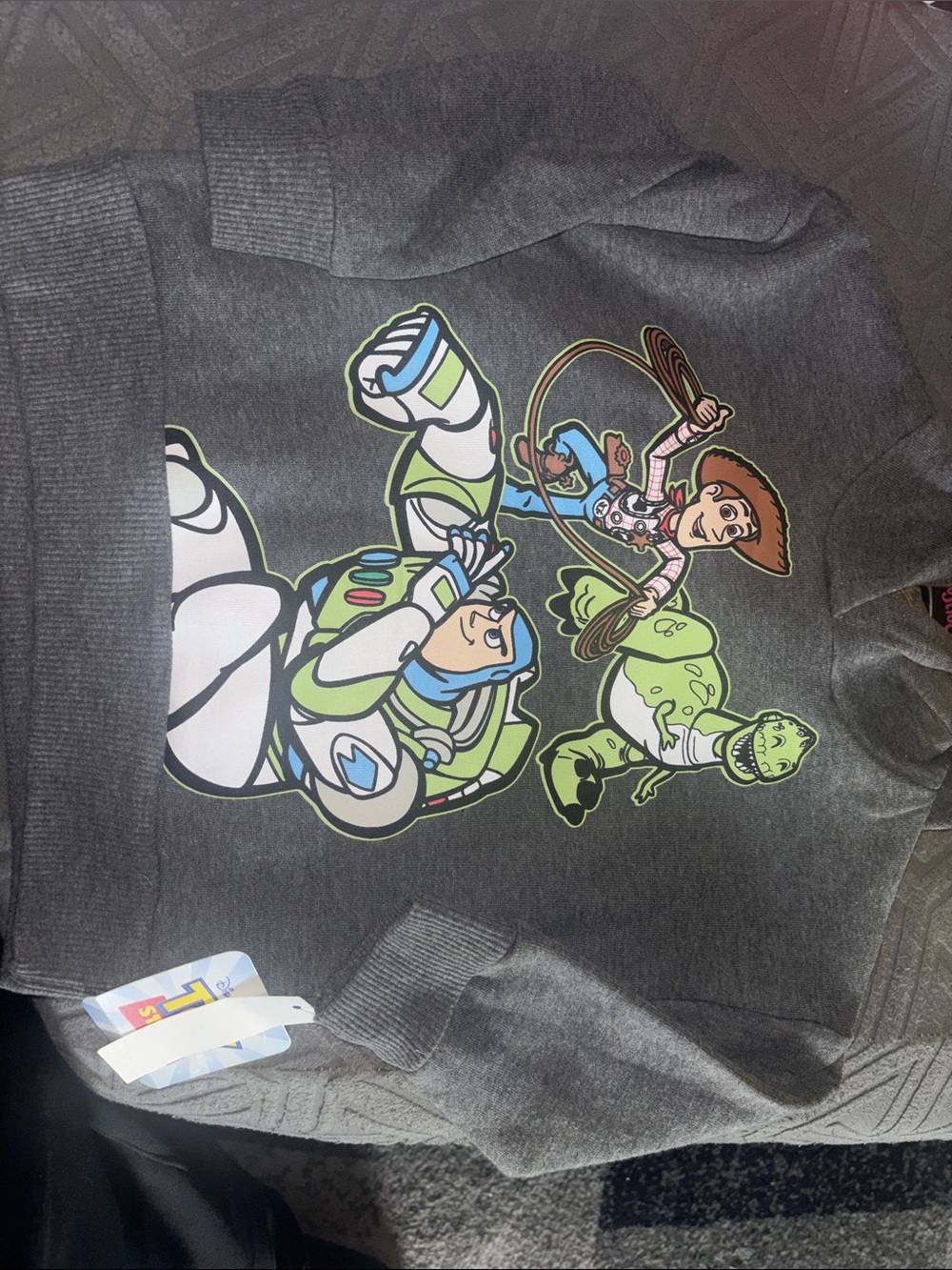 Disney Gray Toy Story Sweatshirt with Buzz, Woody & Rex